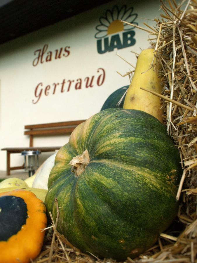바트글레이첸베르그 Haus Gertraud 빌라 외부 사진
